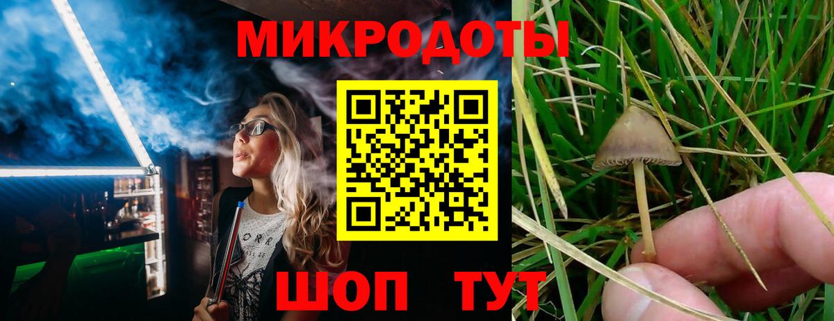 Галлюциногенные грибы мицелий Белгород