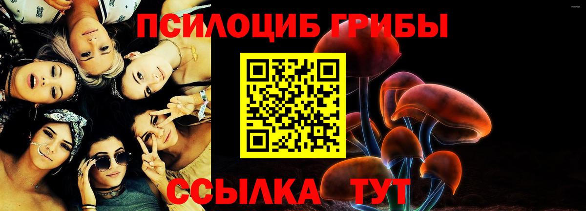 Псилоцибиновые грибы MAGIC MUSHROOMS  купить наркотик  Белгород  Вход с VPN 